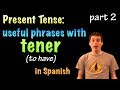 Exploring Present Tense Conjugation with Tener