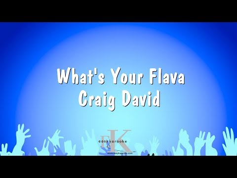 What’s Your Flava – Craig David (Karaoke Version)