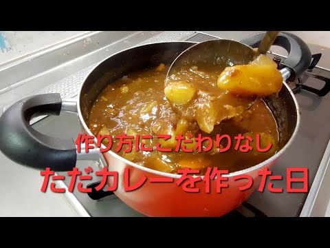 家庭 カレー  ジブリのようなカレーを作ってみた #料理 #食事 #カレー #家庭 