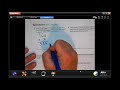 Estimating Values and Sequences