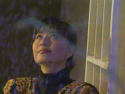 伴唱：我愛你塞北的雪(殷秀梅)