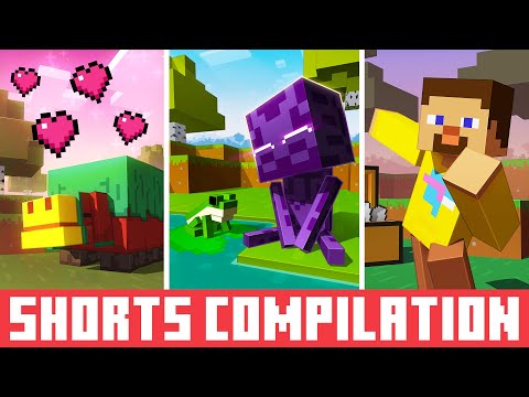 Best Minecraft Shorts | Minecraft Animation Compilation | 1 Million Special