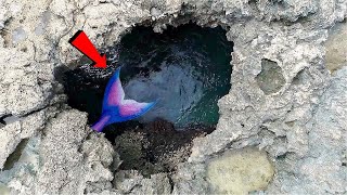 ऐसी जगहे जहाँ पकड़ी गयी असली जलपरियां 2021 | Top 5 Mermaids Caught On Camera 2021