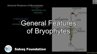 General Features of Bryophytes