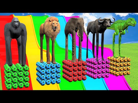 Long Slide Game With Elephant Gorilla Buffalo Hippopotamus Tiger - 3d Animal Game - Funny 3d Animals