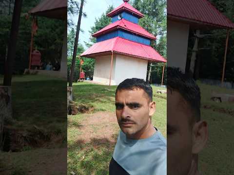 short video share like comment