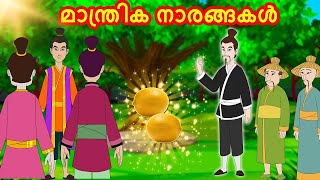 മാന്ത്രിക നാരങ്ങകൾ | Malayalam Fairy tales | Malayalam Stories | Malayalam moral stories