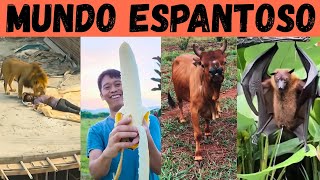 CURIOSIDADES da NATUREZA. Coisas espantosas que acontecem pelo mundo!