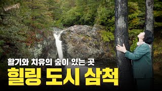 힐링과 치유부터 재미와 즐거움까지 전부 갖춘, 대표 관광도시 삼척! | 테마기행길 | 24년 11월 15일 다시보기