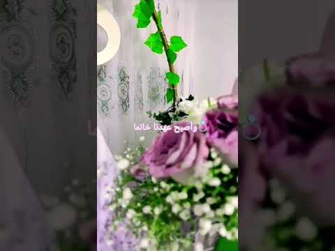 #خطوبة #خطوبةعرس #خطوبة_ملكة #عرس #حب #حالات #اكسبلور #عشاق #explore #nişan #shorts #youtube #follow