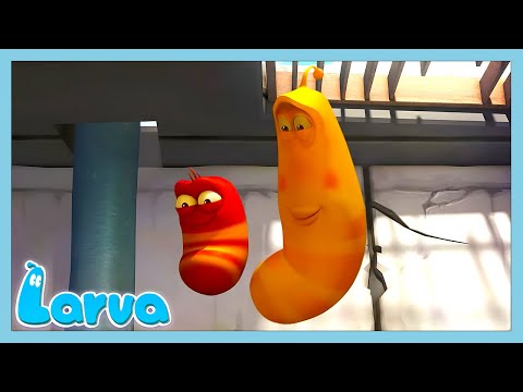 O grande balão azul! | LARVA | WildBrain Português