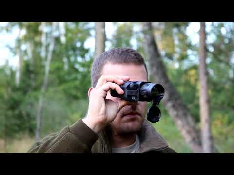 Red deer hunting in Lithuania