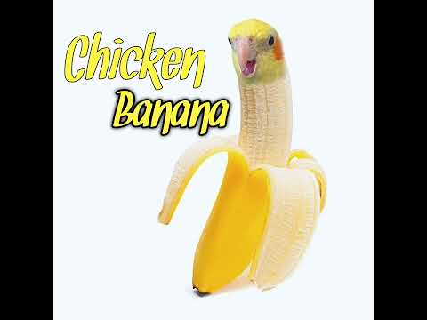 chicken banana song
