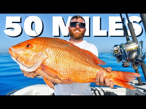 50 Miles Offshore Fishing for Prized Florida Fish (Red Snapper, Grouper, Mahi)