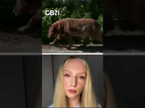 World's oldest dog, Bobi , dies aged 31 #dogs #dog #worldnews #GBNews