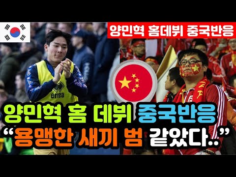 [중국반응] 양민혁 블랙번전 'QPR 홈 데뷔 성공' 실시간 중국반응 "한국이 미치도록 부럽다.." / (양민혁 해외반응, 외국반응 등)