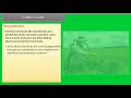 Ecosystem Dynamics and Energy Transfer