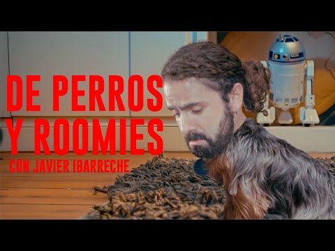 DE PERROS Y ROOMIES con Javier Ibarreche