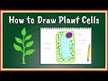 Drawing Plant Cell Diagrams