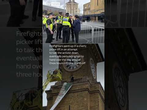 Protester clutching dog climbs King's Cross clock tower