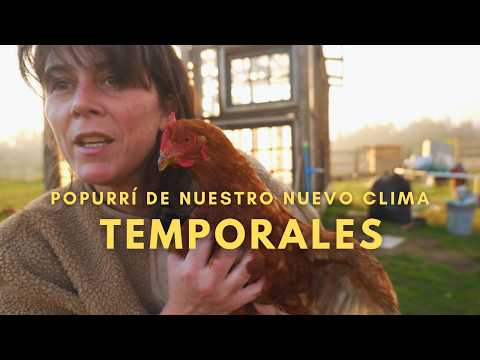 Temporales | Popurrí de nuestro nuevo Clima