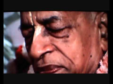 Sri Guru Vandana ~ Swarupa Damodara Das