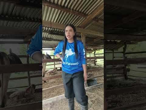 ยืมเงิน #comedy