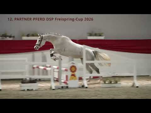 5. Colorina v. Colorit  - Cassini II | DSP | Stute | *2021