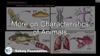 More on Characteristics of Animals