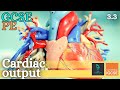 Exploring Cardiac Output and Stroke Volume in the Circulatory System