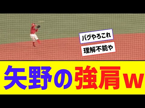 昨日の広島・矢野、理解できない送球をするｗｗｗｗｗ【なんJ反応】