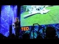 Flying Cars and the Terrafugia Transition