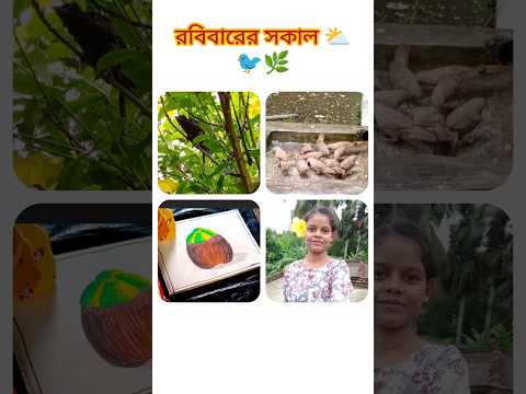 রবিবারের সকাল ⛅🐦🌿 #vlog #minivlog #dailyvlog #shorts #foryou #subscribe #foryoupage