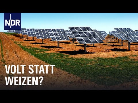 Solarstrom vom Acker? Vom Landwirt zum Energiewirt | Doku | NDR | 45 Min