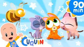 O gatinho pequenino quer ser uma abelhinha 😺🐝  e mais músicas infantis de Cleo e Cuquin