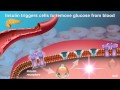 Understanding Type 2 Diabetes Concepts