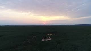 Pantanal Do Mato Grosso & Trenzinho caipira de Villa Lobos.