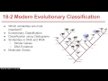 Classification Systems in Biology