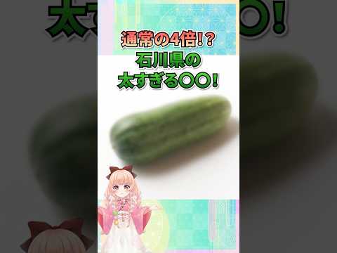 通常の4倍!?石川県の太すぎる○○!!#vtuber #テレビ金沢 #ケイティー恵 #豆知識