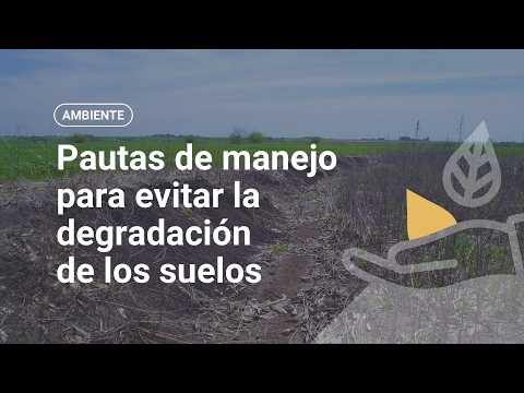 Pautas de manejo para evitar la degradación de los suelos