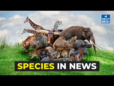 Species in News | 21st December - 10th January | UPSC Current Affairs 2025 | NEXT IAS