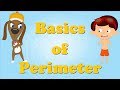 Exploring the Basics of Perimeter