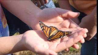 Sense of Place School  Program /FWS