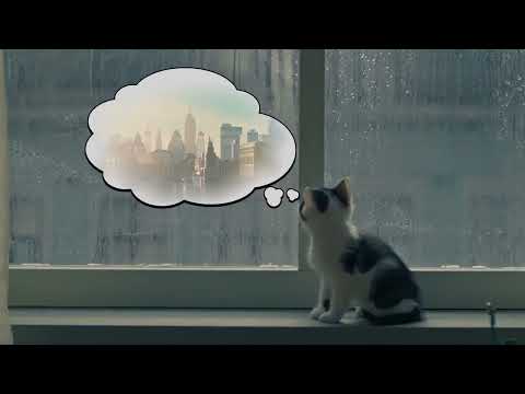 Flygresor.se presenterar: kattungarna på cityweekend!