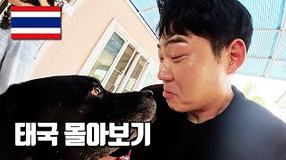전 재산 청산 당하고 떠나는 태국여행 몰아보기