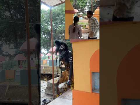 Ayi hai diwali song #bholenath #mahadev #hanuman #trending #shorts #shortsvideo #diwali #song #1m