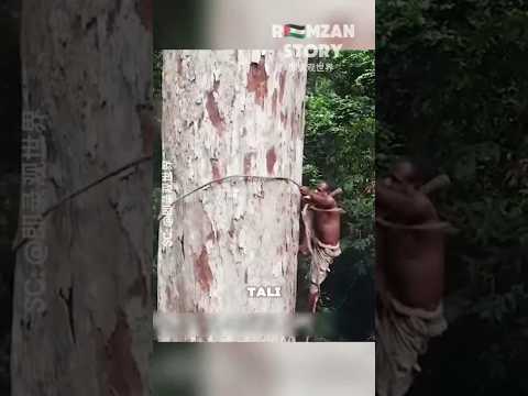 Perjuangan Seorang Ayah