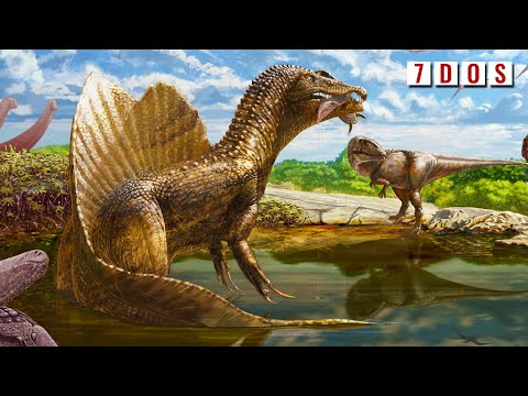 Spinosaurus Was Not Just A Fish-Eater - It Was A Land Predator Too | 7 Days of Science