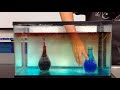 Convection Currents and Density Effects