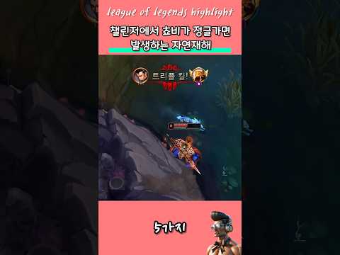 쵸비가 정글을 가면